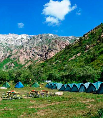 Ташкентская область